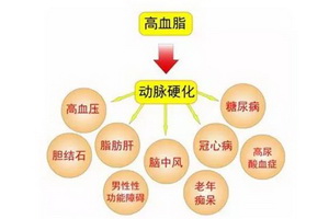 高血脂的 4 大危害