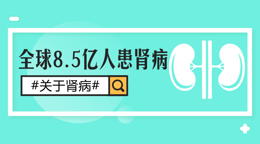 教您4招科学预防肾病！