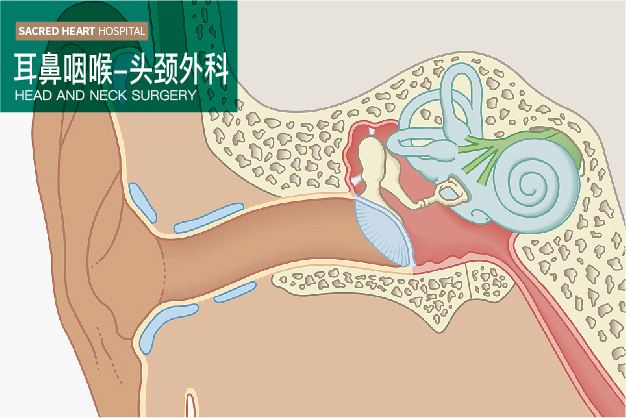 耳鼻咽喉-头颈外科，临床经验丰富，技术力量雄厚